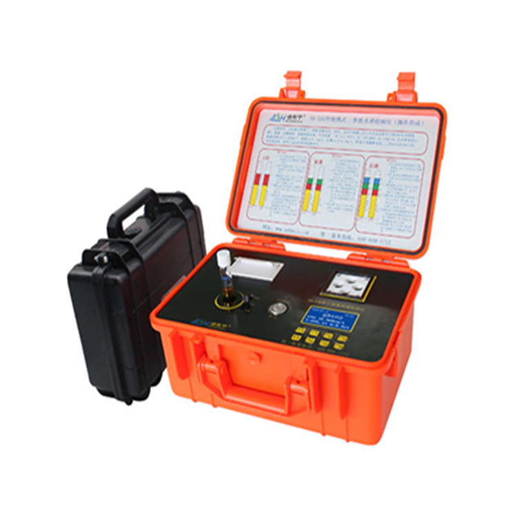 盛奥华sh-520型便携式双参数检测仪